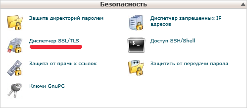 Безопасность → Диспетчер SSL/TLS